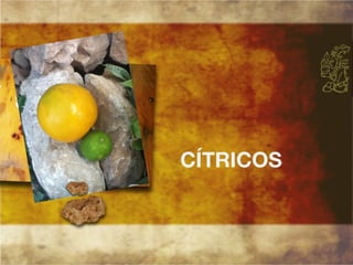 Productos endémicos de Yucatán