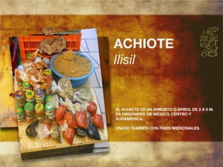 Productos endémicos de Yucatán