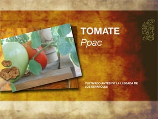 Productos endémicos de Yucatán