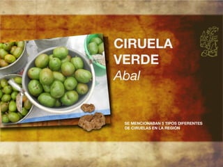 Productos endémicos de Yucatán