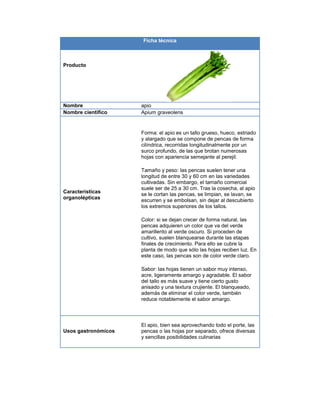Ficha técnica
Producto
Nombre apio
Nombre científico Apium graveolens
Características
organolépticas
Forma: el apio es un tallo grueso, hueco, estriado
y alargado que se compone de pencas de forma
cilíndrica, recorridas longitudinalmente por un
surco profundo, de las que brotan numerosas
hojas con apariencia semejante al perejil.
Tamaño y peso: las pencas suelen tener una
longitud de entre 30 y 60 cm en las variedades
cultivadas. Sin embargo, el tamaño comercial
suele ser de 25 a 30 cm. Tras la cosecha, al apio
se le cortan las pencas, se limpian, se lavan, se
escurren y se embolsan, sin dejar al descubierto
los extremos superiores de los tallos.
Color: si se dejan crecer de forma natural, las
pencas adquieren un color que va del verde
amarillento al verde oscuro. Si proceden de
cultivo, suelen blanquearse durante las etapas
finales de crecimiento. Para ello se cubre la
planta de modo que sólo las hojas reciben luz. En
este caso, las pencas son de color verde claro.
Sabor: las hojas tienen un sabor muy intenso,
acre, ligeramente amargo y agradable. El sabor
del tallo es más suave y tiene cierto gusto
anisado y una textura crujiente. El blanqueado,
además de eliminar el color verde, también
reduce notablemente el sabor amargo.
Usos gastronómicos
El apio, bien sea aprovechando todo el porte, las
pencas o las hojas por separado, ofrece diversas
y sencillas posibilidades culinarias
 