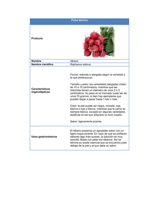 Ficha técnica
Producto
Nombre rábano
Nombre científico Raphanus sativus
Características
organolépticas
Forma: redonda o alargada según la variedad a
la que pertenezcan.
Tamaño y peso: las variedades alargadas miden
de 10 a 15 centímetros, mientras que las
redondas tienen un diámetro de unos 2 ó 3
centímetros. Su peso en el mercado suele ser de
unos 70 gramos, si bien hay ejemplares que
pueden llegar a pesar hasta 1 kilo o más.
Color: la piel puede ser negra, morada, roja,
blanca o roja y blanca, mientras que la carne es
siempre blanca, excepto en algunas variedades
asiáticas en las que adquiere un tono rosado.
Sabor: ligeramente picante.
Usos gastronómicos
El rábano presenta un agradable sabor con un
ligero toque picante. En caso de que se prefieran
sabores algo más suaves, la solución es muy
sencilla. Basta con pelar los rábanos. Así se
elimina su aceite esencial que se encuentra justo
debajo de la piel y al que debe su sabor.
 