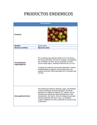 PRODUCTOS ENDEMICOS
Ficha técnica
Producto
Nombre Camu camu
Nombre científico Mycearia dubia
Características
organolépticas
Es un arbusto que alcanza hasta los 4 m de altura y
de raíces profundas. Su fruto es ovalado, de superficie
lisa y brillante, de color oscuro, pasando a marrón
oscuro hasta negro; variando el tamaño de 2 a 4 cm.
La época de cosecha ocurre entre diciembre y marzo,
extendiéndose en algunos casos hasta mayo. Se
pueden encontrar frutos que pasan de 10 g hasta más
de 30 g.
Usos gastronómicos
Se emplea para fabricar néctares, jugos, mermeladas
y para la obtención de ácido ascórbico. Del ácido
ascórbico se obtiene la vitamina "C" natural; que es
utilizada para balancear dietas deficitarias en este
componente. Así mismo, tiene la ventaja de que esta
vitamina obtenida del camu camu, no presenta
cuadros alérgicos en niños, pudiendo su consumo ser
a discreción.
 