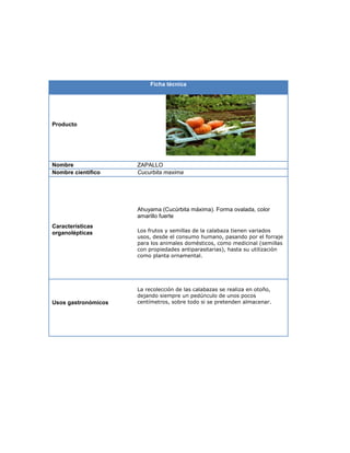 Ficha técnica
Producto
Nombre ZAPALLO
Nombre científico Cucurbita maxima
Características
organolépticas
Ahuyama (Cucúrbita máxima). Forma ovalada, color
amarillo fuerte
Los frutos y semillas de la calabaza tienen variados
usos, desde el consumo humano, pasando por el forraje
para los animales domésticos, como medicinal (semillas
con propiedades antiparasitarias), hasta su utilización
como planta ornamental.
Usos gastronómicos
La recolección de las calabazas se realiza en otoño,
dejando siempre un pedúnculo de unos pocos
centímetros, sobre todo si se pretenden almacenar.
 