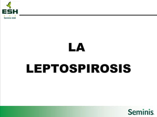 LA  LEPTOSPIROSIS 