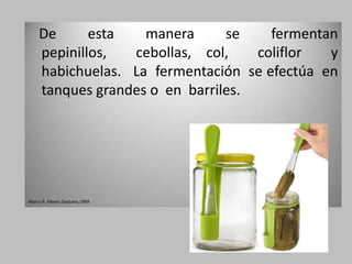 De      esta   manera      se    fermentan
    pepinillos,  cebollas, col,    coliflor  y
    habichuelas. La fermentación se efectúa en
    tanques grandes o en barriles.




Marco R. Meyer,Gaetano,1989
 