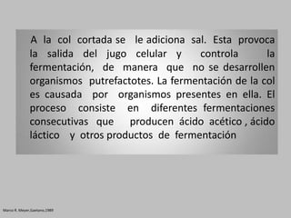A la col cortada se le adiciona sal. Esta provoca
              la salida del jugo celular y      controla       la
              fermentación, de manera que no se desarrollen
              organismos putrefactotes. La fermentación de la col
              es causada por organismos presentes en ella. El
              proceso consiste en diferentes fermentaciones
              consecutivas que producen ácido acético , ácido
              láctico y otros productos de fermentación




Marco R. Meyer,Gaetano,1989
 