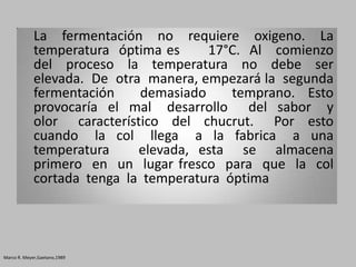 La fermentación no requiere oxigeno. La
             temperatura óptima es     17°C. Al comienzo
             del proceso la temperatura no debe ser
             elevada. De otra manera, empezará la segunda
             fermentación    demasiado     temprano. Esto
             provocaría el mal desarrollo del sabor y
             olor característico del chucrut. Por esto
             cuando la col llega a la fabrica a una
             temperatura     elevada, esta se almacena
             primero en un lugar fresco para que la col
             cortada tenga la temperatura óptima




Marco R. Meyer,Gaetano,1989
 