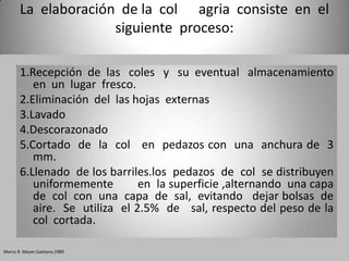 La elaboración de la col agria consiste en el
                     siguiente proceso:

       1.Recepción de las coles y su eventual almacenamiento
          en un lugar fresco.
       2.Eliminación del las hojas externas
       3.Lavado
       4.Descorazonado
       5.Cortado de la col en pedazos con una anchura de 3
          mm.
       6.Llenado de los barriles.los pedazos de col se distribuyen
          uniformemente        en la superficie ,alternando una capa
          de col con una capa de sal, evitando dejar bolsas de
          aire. Se utiliza el 2.5% de sal, respecto del peso de la
          col cortada.

Marco R. Meyer,Gaetano,1989
 
