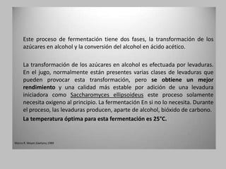Este proceso de fermentación tiene dos fases, la transformación de los
     azúcares en alcohol y la conversión del alcohol en ácido acético.

     La transformación de los azúcares en alcohol es efectuada por levaduras.
     En el jugo, normalmente están presentes varias clases de levaduras que
     pueden provocar esta transformación, pero se obtiene un mejor
     rendimiento y una calidad más estable por adición de una levadura
     iniciadora como Saccharomyces ellipsoideus este proceso solamente
     necesita oxigeno al principio. La fermentación En si no lo necesita. Durante
     el proceso, las levaduras producen, aparte de alcohol, bióxido de carbono.
     La temperatura óptima para esta fermentación es 25°C.


Marco R. Meyer,Gaetano,1989
 