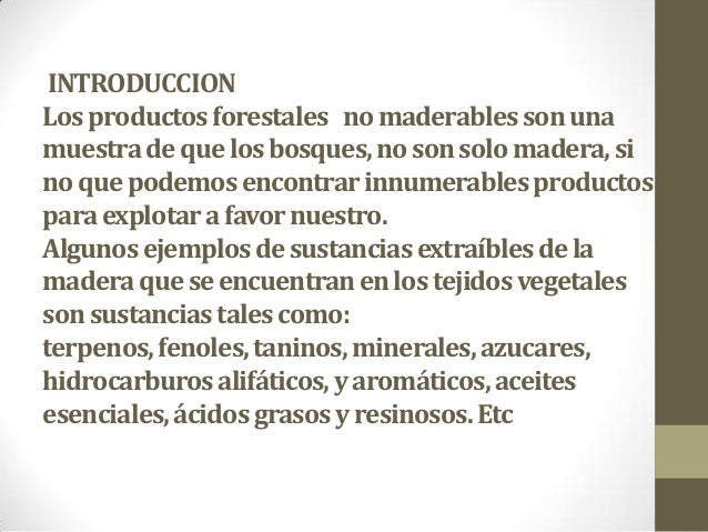 Productos forestales no maderables