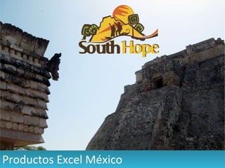 Productos Excel México 