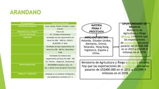 ARANDANO
TIPO DE PRODUCTO Producto No Tradicional
DISTRIBUCIÓN GEOGRAFÍA Caraz, Huaylas, Nepeña, Chimbote, Trujillo,
Huarmey
FRECUENCIA DE LA COSECHA Todo el año
CICLO DE PRODUCCIÓN 65 – 75 desde su florecimiento
VARIEDADES Variedades de alto requerimiento de
horas frío (500 – 1000 Hr). LEGACY,
BLUECROP, O’ NEAL
Variedades de bajo requerimiento de
horas frío (100 – 400 Hr). Misty Biloxi
STAR
Variedades de mediano/alto
requerimiento de horas frío (300 – 700
Hr). Premier, Brightwell, Ochlockonee
PARTIDA ARANCELARIA 0810400000 Arándanos rojos, mir
llos, y demás frutos del género Vaccinium
EMBALAJE Y TRANSPORTE Embalaje en un ambiente refrigerado a
una temperatura constante a 0 °C
MATERIA
PRIMA Y
PROCESADA
MERCADO DESTINO
Holanda, Estados Unidos,
Alemania, Grecia,
Tailandia, Hong Kong,
Inglaterra, España y
China.
OPORTUNIDADES DE
NEGOCIO
Ministerio de
Agricultura y Riego
(Minagri) informó que
las exportaciones
de arándanos peruanos
pasaron de US$400.000
en el 2012 a US$589,9
millones en el 2018.
Ministerio de Agricultura y Riego (Minagri) informó
hoy que las exportaciones de arándanos peruanos
pasaron de US$400.000 en el 2012 a US$589,9
millones en el 2018.
 