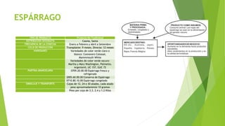 ESPÁRRAGO
TIPO DE PRODUCTO Producto No Tradicional
DISTRIBUCIÓN GEOGRAFÍA Casma, Santa
FRECUENCIA DE LA COSECHA Enero a Febrero y Abril a Setiembre
CICLO DE PRODUCCIÓN Transplante: 9 meses. Directa: 12 meses
VARIEDADES Variedades de color verde claro o
blanco: Connovers Colossal,
Mammmouth White
Variedades de color verde oscuro:
Martha y Mary Washington, Palmetto,
Argentenil, UC 157, GUC 72
PARTIDA ARANCELARIA 0709.20.00.00 Espárrago fresco y
refrigerado
2005.60.00.00 Conserva de Espárrago
0710.80.10.00 Espárrago congelado
EMBALAJE Y TRANSPORTE Cajas de 12, 24 o 30 atados, cada atado
pesa aproximadamente 10 gramos
Peso por caja de 3.3, 2.4 y 1.2 Kilos
 