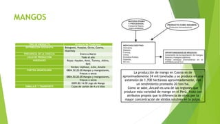 MANGOS
TIPO DE PRODUCTO Producto No Tradicional
DISTRIBUCIÓN GEOGRAFÍA Bolognesí, Huaylas, Ocros, Casma,
Huarmey
FRECUENCIA DE LA COSECHA Enero a Marzo
CICLO DE PRODUCCIÓN Todo el año
VARIEDADES Rojas: Hayden, Kent, Tommy, Atkins,
Keit
Verdes: Alphose, Julie, Amalie
PARTIDA ARANCELARIA 0804.50.20.00 Mangos y mangostanes,
frescos o secos
0804.50.20.00 Mangos y mangostanes,
frescos o secos
2009.80.14.00 Jugo de Mango
EMBALAJE Y TRANSPORTE Cajas de cartón de 4 y 6 kilos
La producción de mango en Casma es de
aproximadamente 34 mil toneladas y se produce en una
extensión de 1,700 hectáreas aproximadamente, con
un rendimiento promedio 20 ton/ha.
Como se sabe, Áncash es una de las regiones que
produce esta variedad de mango en el Perú, fruto con
atributos propios que lo diferencia de otros por la
mayor concentración de sólidos solubles en la pulpa.
 