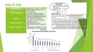 UVA O VID
TIPO DE PRODUCTO Producto No Tradicional
DISTRIBUCIÓN GEOGRAFÍA Santa Lacramarca, Nepeña, Irchim,
Casma, Huarmey
FRECUENCIA DE LA COSECHA Agosto a Setiembre
CICLO DE PRODUCCIÓN La vid tiene un ciclo anual. Durante
todo el año se realizan diferentes
faenas en los viñedos para conseguir una
planta sana con buenos frutos
VARIEDADES Italia, Cardinal, River, Quebranta,
Thompsom y Flame, estas dos últimas
variedades sin semilla
PARTIDA ARANCELARIA 0806.10.00.00 Uvas frescas
0806.20.00.00 Uvas secas, incluidas las
pasas
EMBALAJE Y TRANSPORTE Caja de Madera: 5 a 8.2 Kg. (11 a 18 lb.)
Caja de Plástico: 8.2 a 16.5 Kg. (18 a 36
lb)
Caja de cartón: 4.5 a 10 Kg. (10 a 20
lb.)
Hasta el mes de setiembre, las exportaciones de uva,
sumaron 123,7 mil toneladas, cantidad superior a la
del mismo periodo del pasado año en 17,5% (105,2 mil
toneladas), ello como resultado de la mayor
producción nacional en dicho período (12,0% más).
 