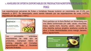 1. ANÁLISIS DE OFERTAEXPORTABLESDE PRODUCTOSHORTOFRUTÍCOLASEN EL
PERÚ
Perú participo en la feria Biofach en Núremberg con
una oferta conformada por café, cacao, chocolate,
maca, sacha inchi, lúcuma, yacón, camu camu,
chía, kiwicha, quinua, jengibre, aceituna y aceite de
oliva, y frutas deshidratadas como mango, banano,
piña y aguaymanto.
Las principales empresas
exportadoras de este tipo de
productos, Camposol lidera el
ranking, seguido por Complejo
Agroindustrial Beta, y Sociedad
Agrícola Drokasa.
Las exportaciones peruanas de frutas y hortalizas frescas tuvieron un crecimiento del 21.9% con
respecto a 2017. Su desempeño viene siendo liderado por las exportaciones de uvas, (+27%),
seguidas por las paltas (+48%).
 