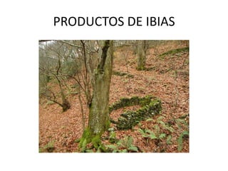PRODUCTOS DE IBIAS
 