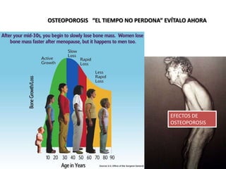 Solo ingredientes naturales