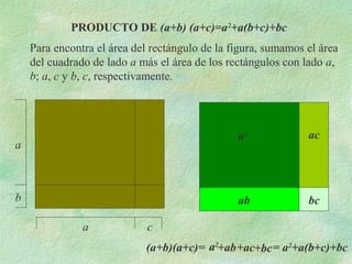 PRODUCTO DE (a+b) (a+c)=a2+a(b+c)+bc 
Para encontra el área del rectángulo de la figura, sumamos el área 
del cuadrado de lado a más el área de los rectángulos con lado a, 
b; a, c y b, c, respectivamente. 
(a+b)(a+c)= 
a 
a 
b 
c 
a2 
ab 
ac 
bc 
a2+ab+ac+bc= a2+a(b+c)+bc 
 
