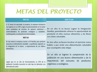 METAS DEL PROYECTO
 