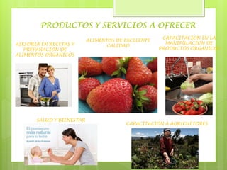 PRODUCTOS Y SERVICIOS A OFRECER
ASESORIA EN RECETAS Y
PREPARACION DE
ALIMENTOS ORGANICOS
SALUD Y BIENESTAR
ALIMENTOS DE EXCELENTE
CALIDAD
CAPACITACION EN LA
MANIPULACION DE
PRODUCTOS ORGANICOS
CAPACITACION A AGRICULTORES
 