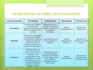 PRINCIPALES ACTORES INVOLUCRADOS
 