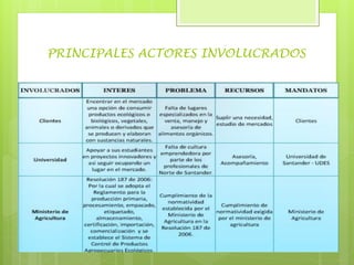 PRINCIPALES ACTORES INVOLUCRADOS
 