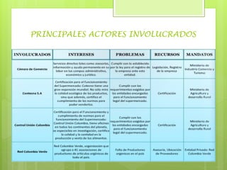 PRINCIPALES ACTORES INVOLUCRADOS
 