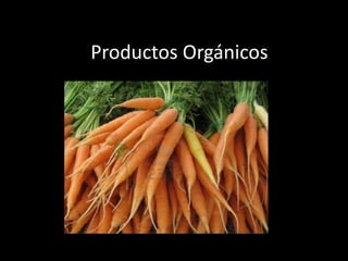 Productos Orgánicos
 