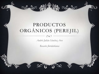PRODUCTOS
ORGÁNICOS (PEREJIL)
     Andrés Julián Sánchez Arce

        Rosario floridablanca
 