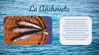 La AnchovetaLa Anchoveta
La captura de anchoveta en
años anteriores ha sido
destinada básicamente al
consumo humano indirecto sin
embargo, la producción de
conservas elaboradas a base
de esta especie se ha
incrementado, ante la creciente
demanda tanto del mercado
interno como el externo
 
