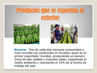 Productos que se exportan al
           exterior




Banano: Tres de cada diez bananos consumidos a
nivel mundial son producidos en Ecuador, quien es el
primer exportador mundial, produciendo un banano
único de alta calidad y exquisito sabor, respetando el
medio ambiente y representa el 12% de la fuente de
trabajo del país
 