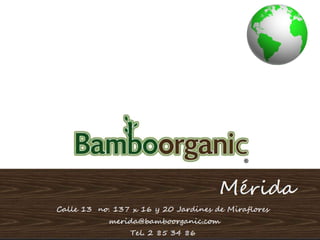 Productos varios  de bamboorganic merida hight