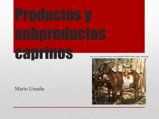 Productos y
subproductos
caprinos
Mario Umaña
http://www.cmilenium.com/wp-content/uploads/2009/02/cabras_anglo_nubian.jpg
 