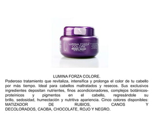 Producto Tec Italy