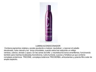 Shampoo Alisante Temporal Design Dimension Metamorfosi Tec Italy | Tienda de  la Belleza
