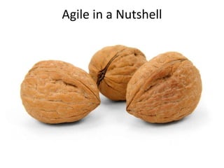 Agile in a Nutshell
 