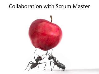 Collaboration with Scrum Master
 