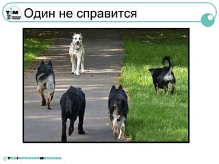 Один не справится




©
 