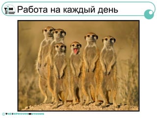 Работа на каждый день




©
 