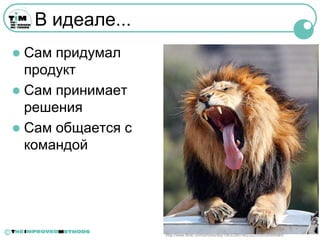В идеале...
     Сам придумал
      продукт
     Сам принимает
      решения
     Сам общается с
      командой




©                      http://www.flickr.com/photos/day1953/2867462322/in/photostream/
 