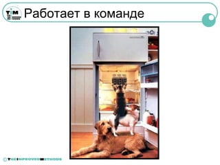 Работает в команде




©
 