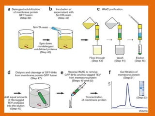 Product polishing techniques in Downstream Processing