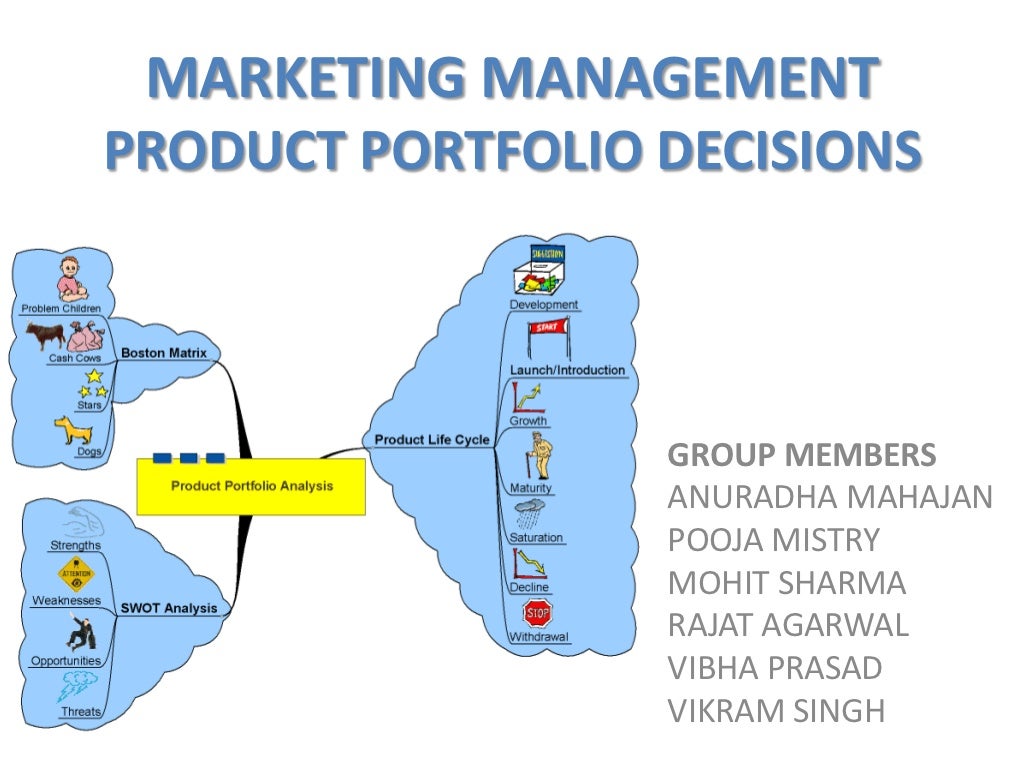 Product portfolio decisions