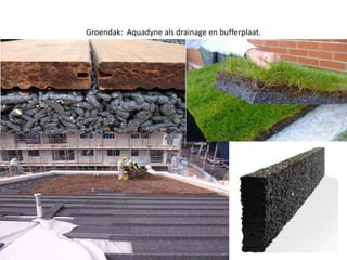 Groendak: Aquadyne als drainage en bufferplaat.
 