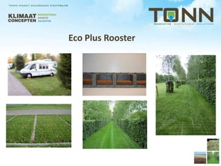 Eco Plus Rooster
 