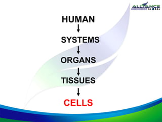 HUMAN
SYSTEMS
ORGANS
TISSUES
CELLS
 