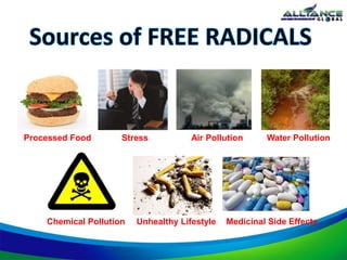 Processed Food Stress Air Pollution
Unhealthy LifestyleChemical Pollution Medicinal Side Effects
Water Pollution
 