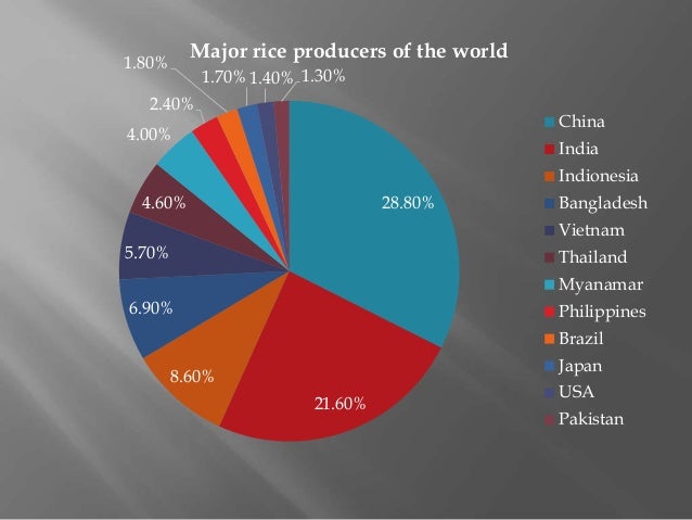 Product presentation basmati rice export